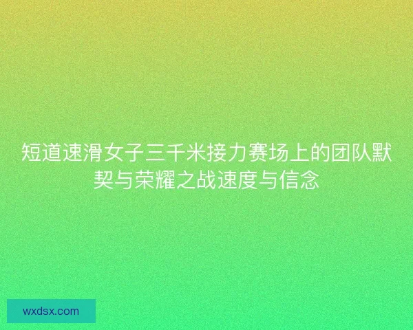 短道速滑女子三千米接力赛场上的团队默契与荣耀之战速度与信念