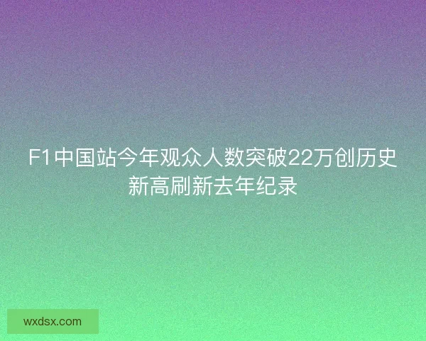 F1中国站今年观众人数突破22万创历史新高刷新去年纪录
