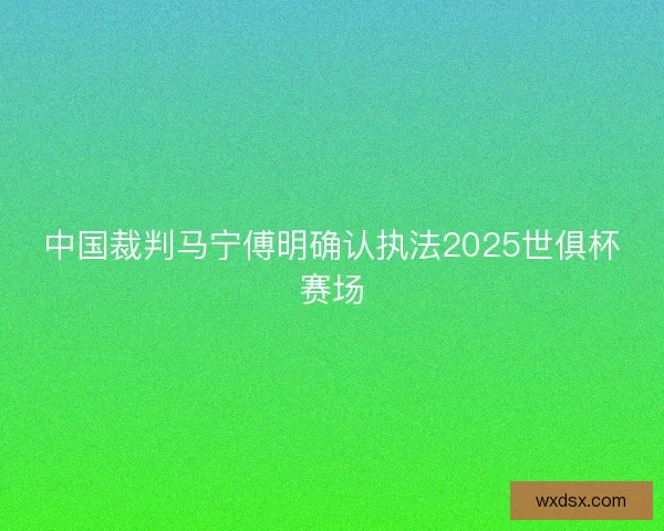 中国裁判马宁傅明确认执法2025世俱杯赛场
